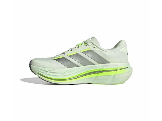 Adistar BYD 2