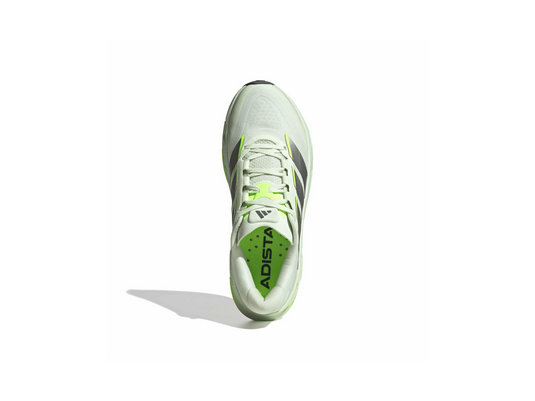 Adistar BYD 2