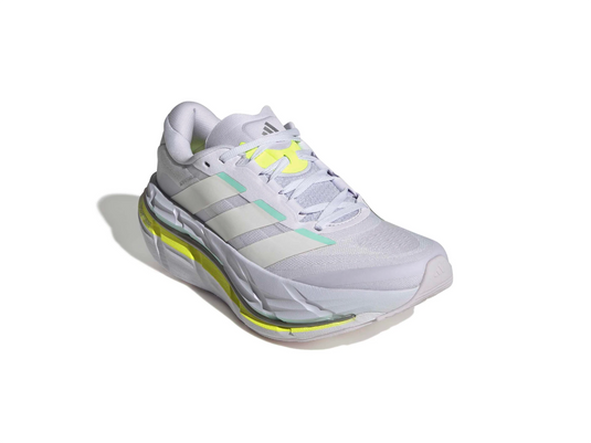 Adistar BYD 2 w