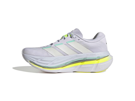 Adistar BYD 2 w