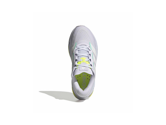 Adistar BYD 2 w